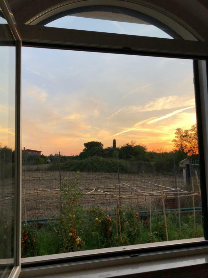 Agriturismo "Lo Zafferano" อาพริเลีย ภายนอก รูปภาพ