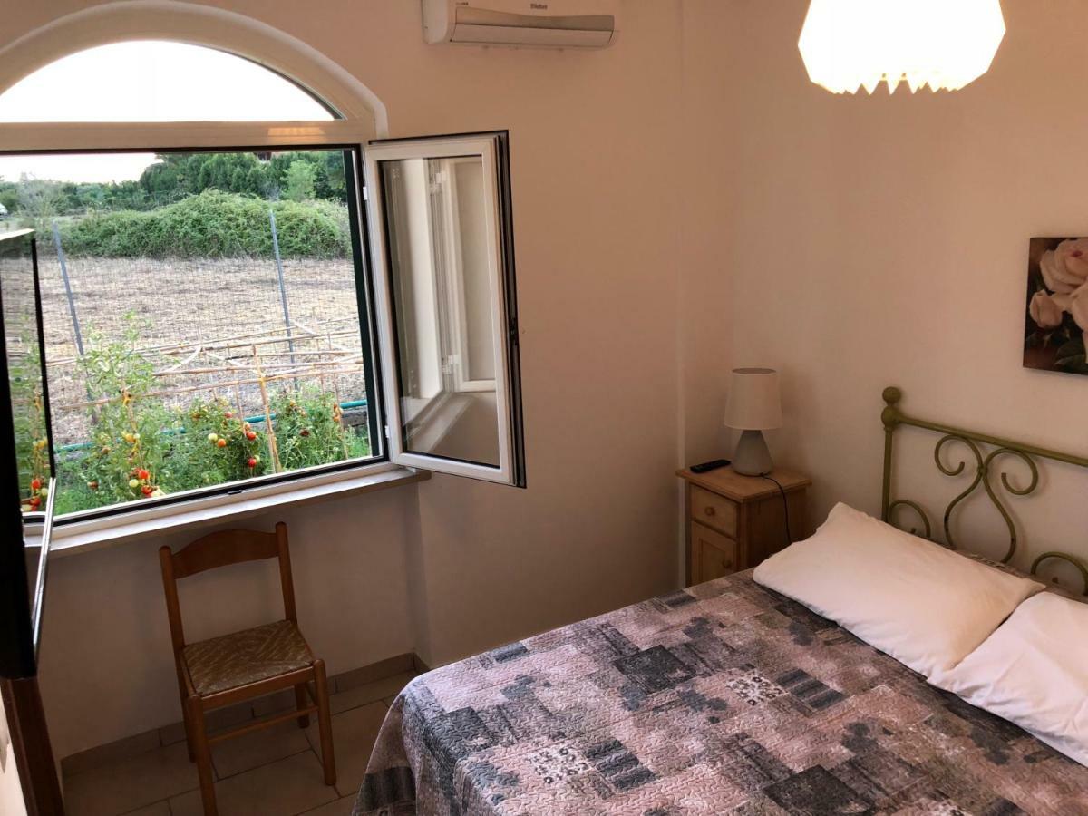 Agriturismo "Lo Zafferano" อาพริเลีย ภายนอก รูปภาพ